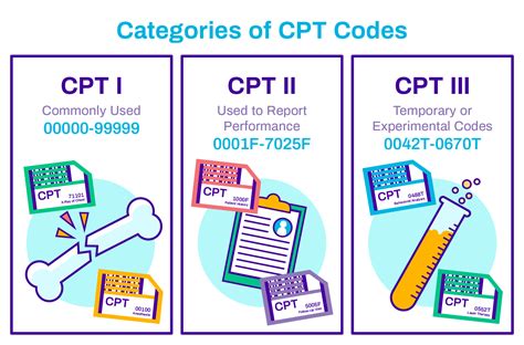 22208 cpt code.